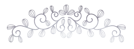 suculentas divider plata