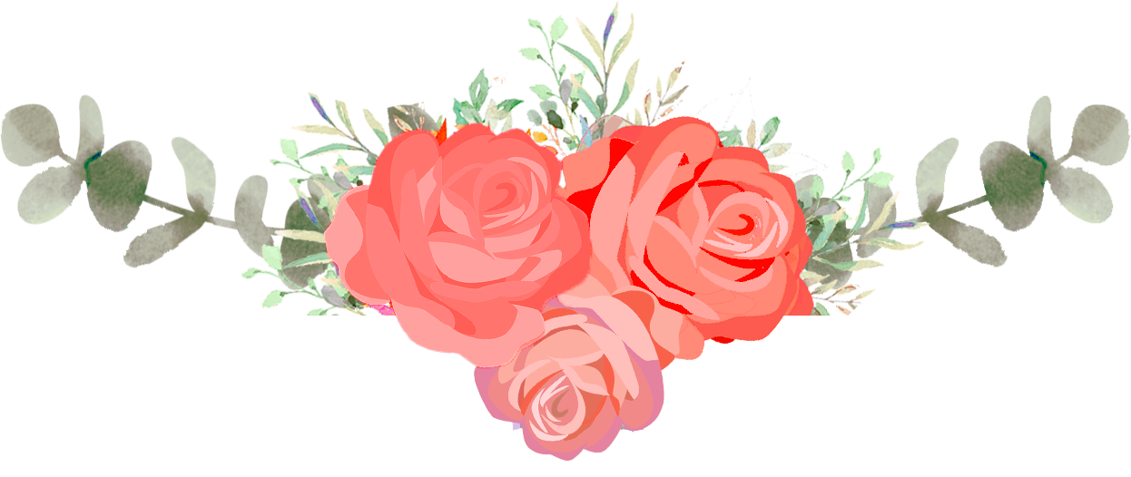 red roses divider red roses divider