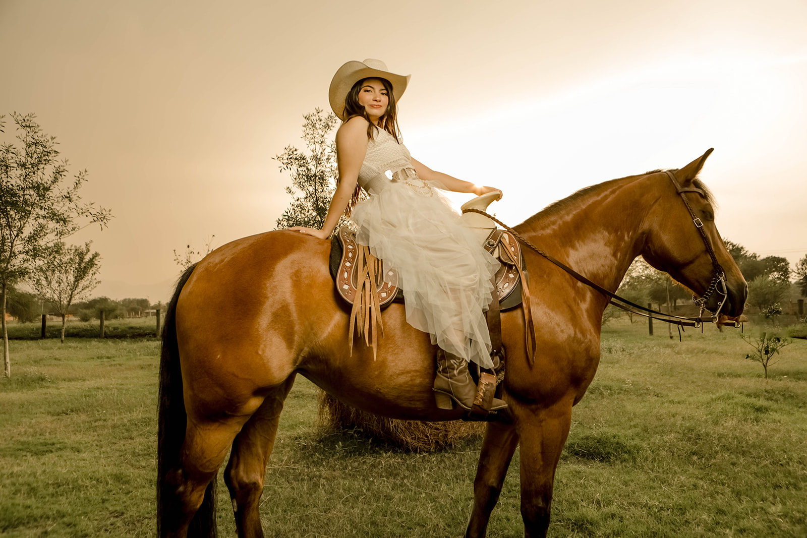 MIS FIFTEEN SOFIA